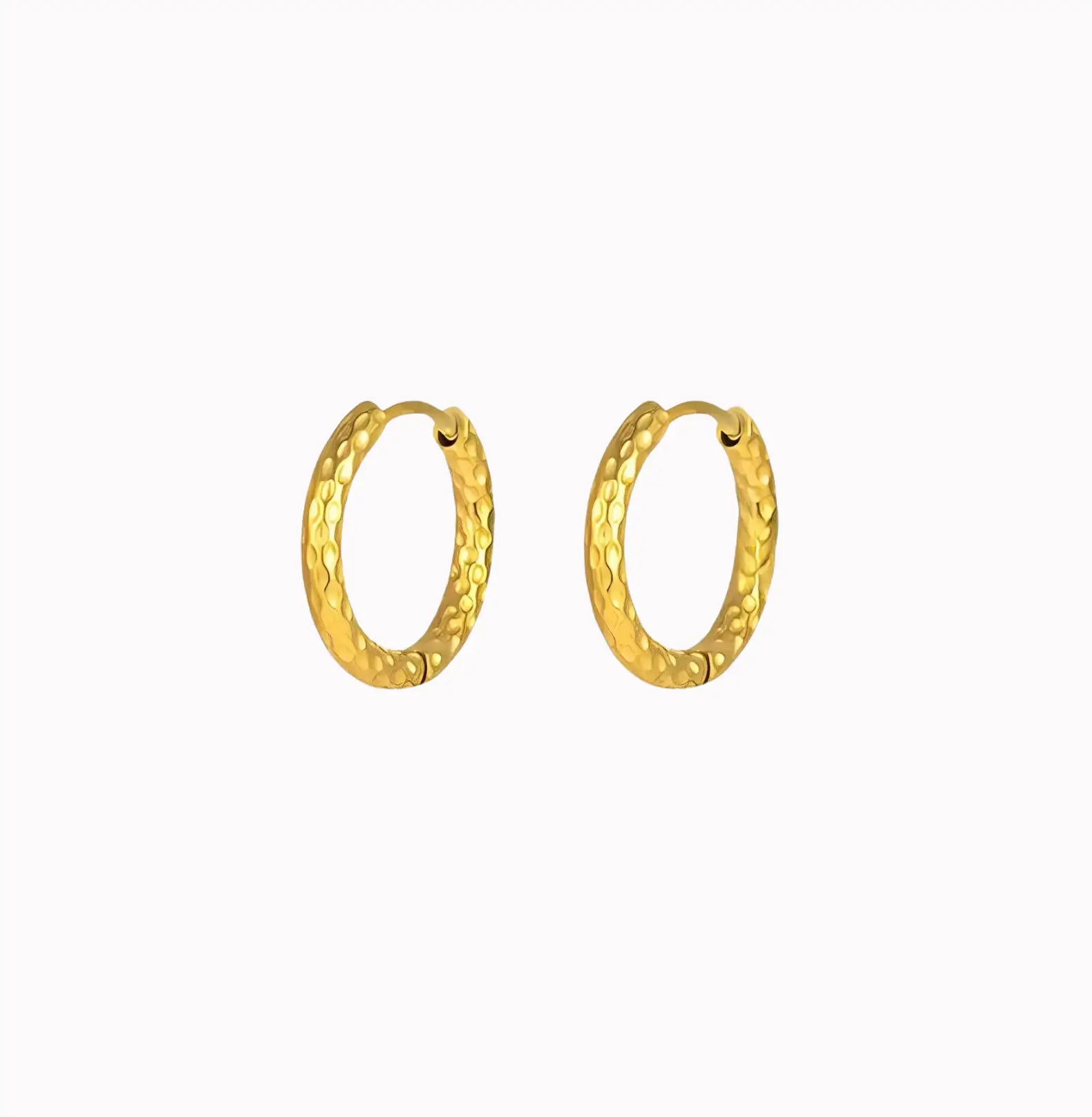 EAR HOOPS EARRINGS