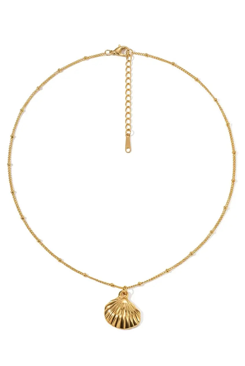 A delicate gold chain necklace featuring a small, textured gold shell pendant, displayed on a clean white background.