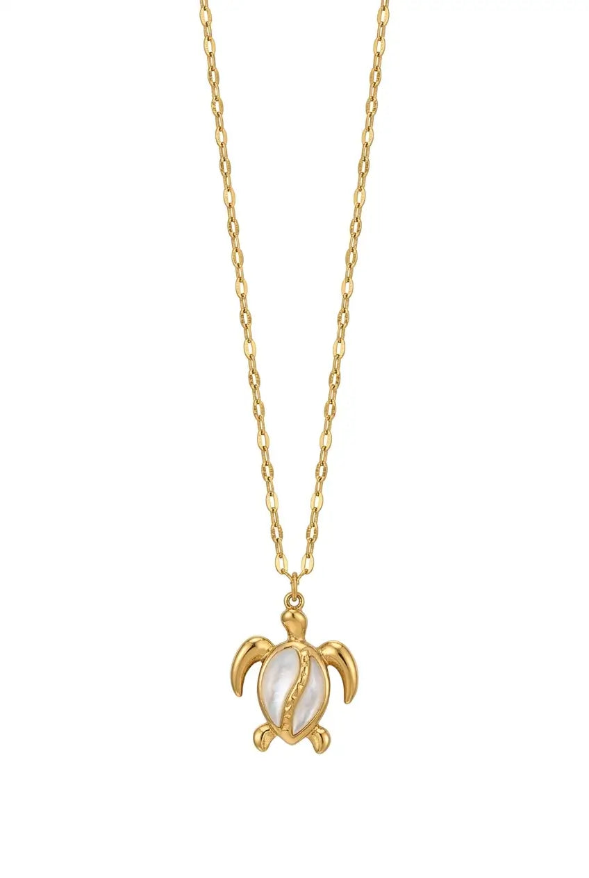 A gold chain necklace featuring a sea turtle pendant with a white mother-of-pearl shell on its shell, set against a plain white background.