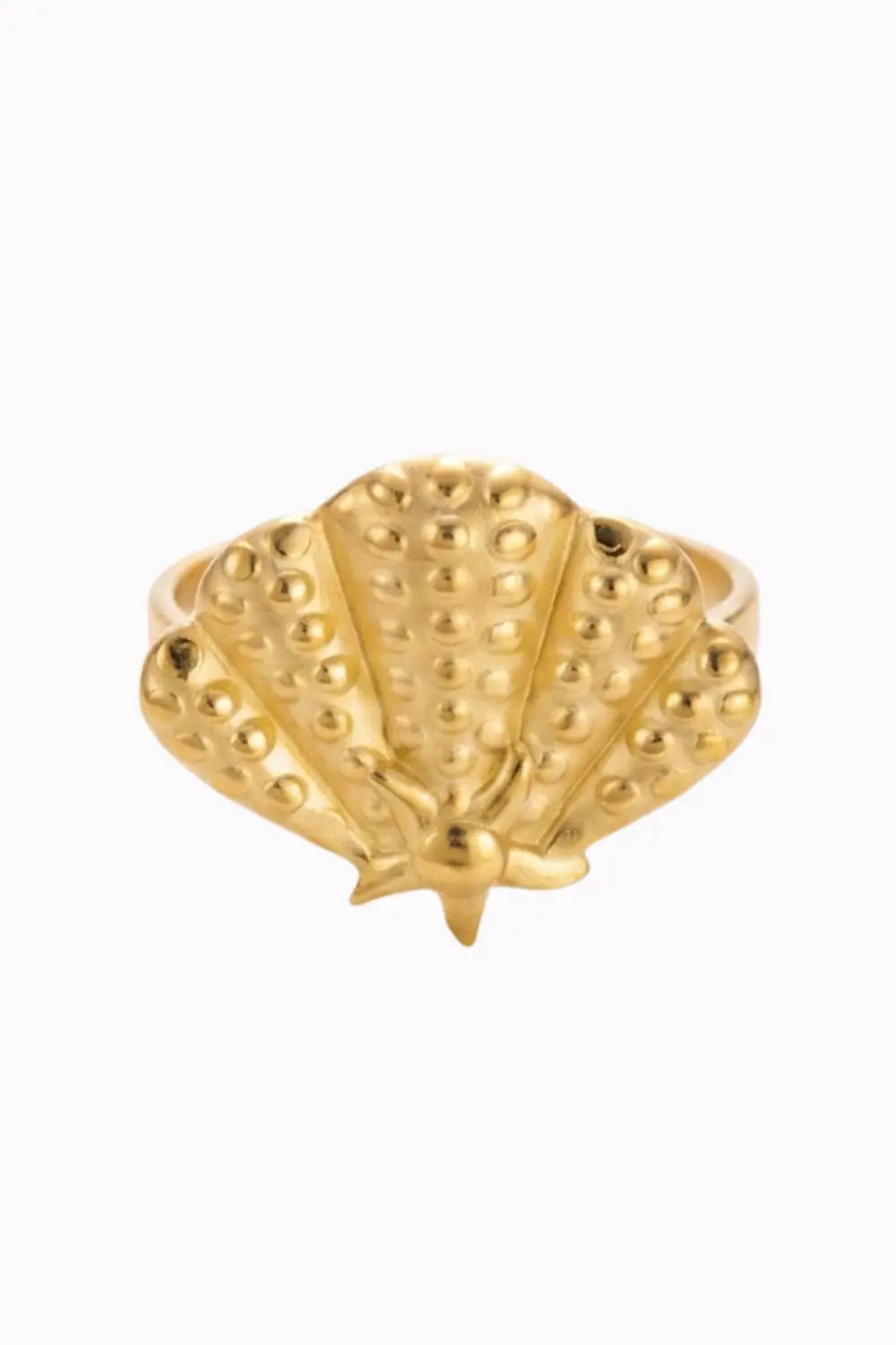 Shell Ring